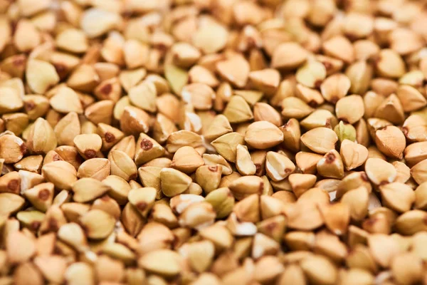 Close up view of uncooked raw buckwheat — Stock Photo