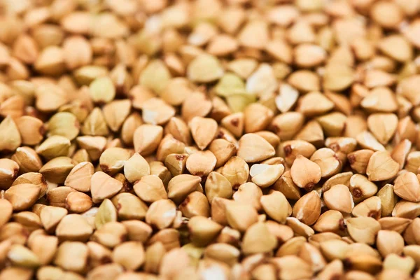 Close up view of uncooked organic whole buckwheat — Stock Photo