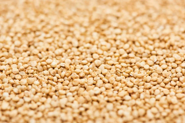 Graines non cuites de quinoa blanc biologique — Photo de stock