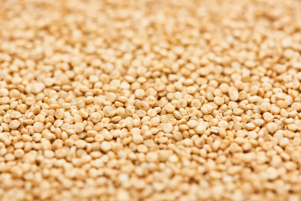 Vue rapprochée des graines non cuites de quinoa blanc biologique — Photo de stock