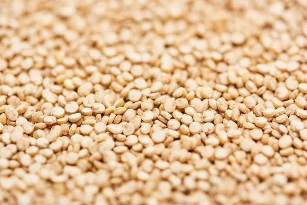 Vista de perto de pequenas sementes de quinoa branca — Fotografia de Stock