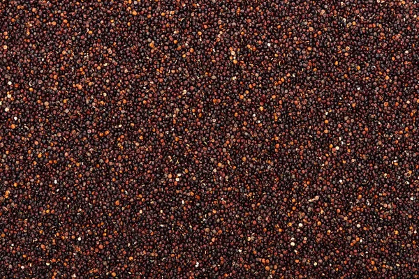 Vue du dessus du quinoa noir biologique cru — Photo de stock