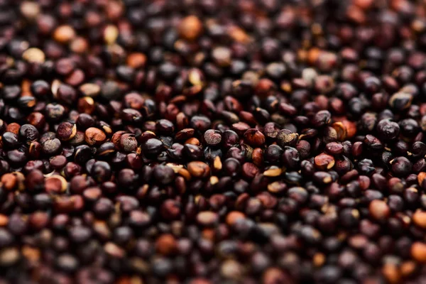 Vista da vicino della quinoa nera biologica grezza — Foto stock