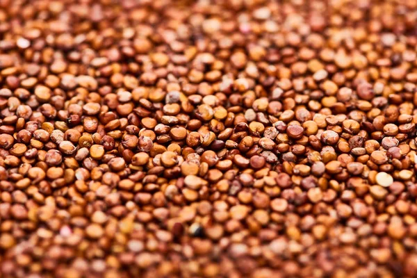 Vista da vicino della quinoa rossa biologica cruda — Foto stock