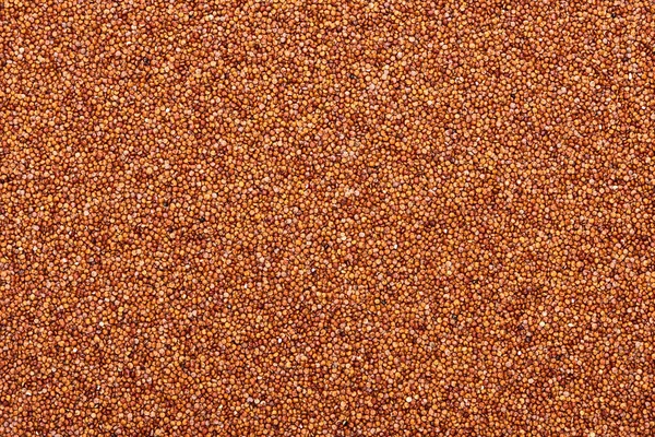 Top view of raw organic red quinoa — Stock Photo