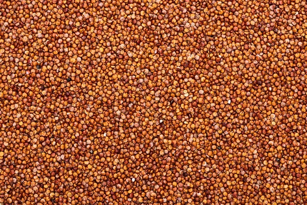Top view of uncooked organic red quinoa seeds — Stock Photo
