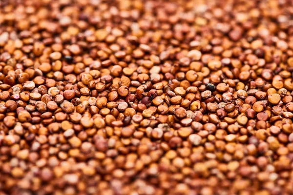 Close up view of uncooked organic red quinoa seeds — Stock Photo