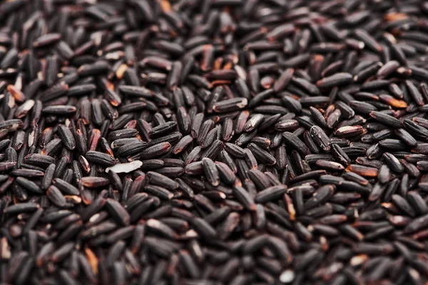 Vista de cerca del arroz negro orgánico sin procesar - foto de stock