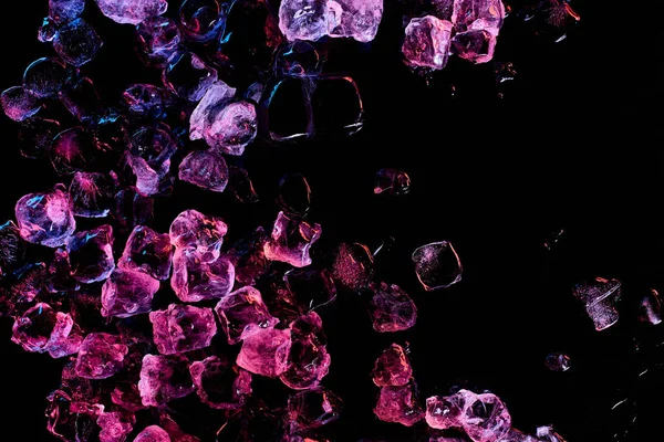 Вид сверху на кубики льда с фиолетовым освещением, изолированные на черном — стоковое фото