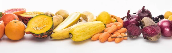 Plano panorámico de calabazas, cebollas, zanahorias, remolachas, calabacines y naranjas sobre fondo blanco - foto de stock