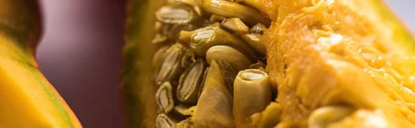 Panoramic shot of ripe pumpkin piece with seeds — Stock Photo