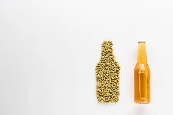 Vue du dessus de la bouteille de bière légère près du houblon pressé isolé sur blanc — Photo de stock