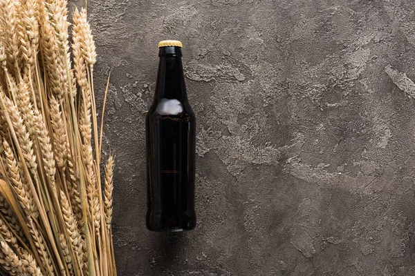 Vue de dessus des pointes de blé près de la bouteille de bière foncée sur la surface brune — Photo de stock