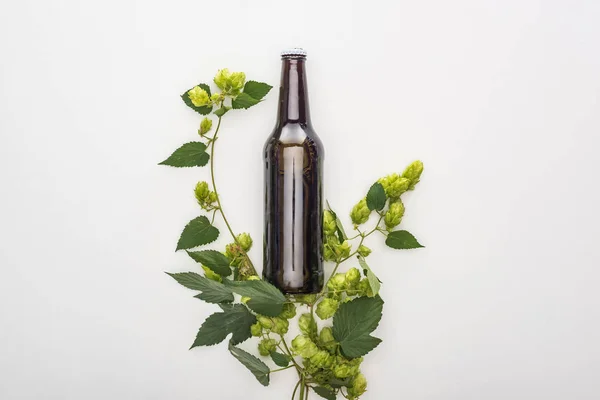 Вид на пиво в бутылке с зеленым хмелем на белом фоне — стоковое фото