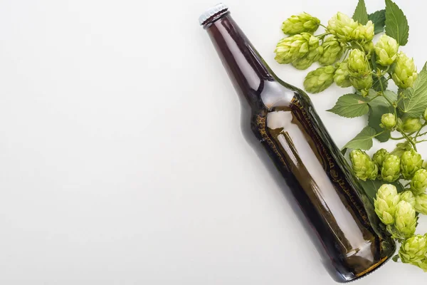 Draufsicht auf Bier mit grünem Hopfen auf weißem Hintergrund — Stockfoto