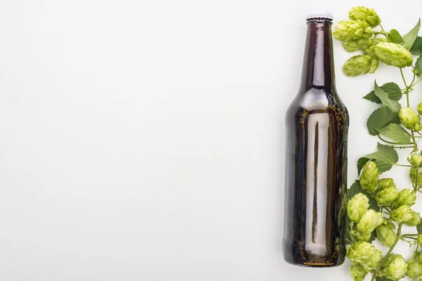 Vista superior de la cerveza fresca en botella con lúpulo verde sobre fondo blanco - foto de stock