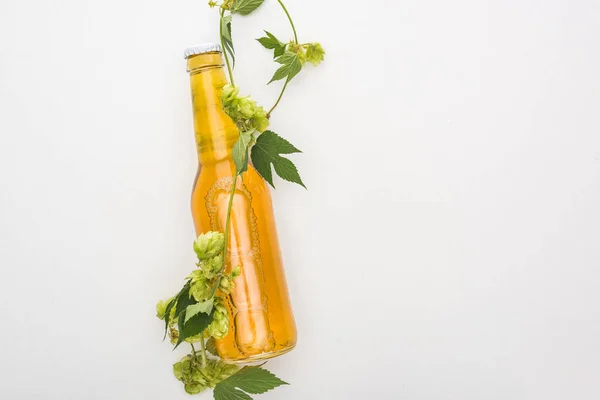 Vista superior de la cerveza amarilla en botella con lúpulo verde sobre fondo blanco - foto de stock