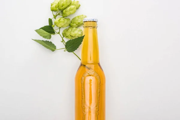 Vista superior de la cerveza en botella con lúpulo sobre fondo blanco - foto de stock
