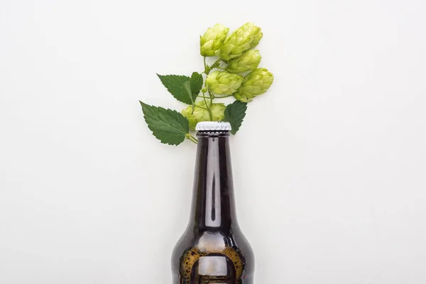 Draufsicht auf frisches Bier in Flasche mit Hopfen auf weißem Hintergrund — Stockfoto