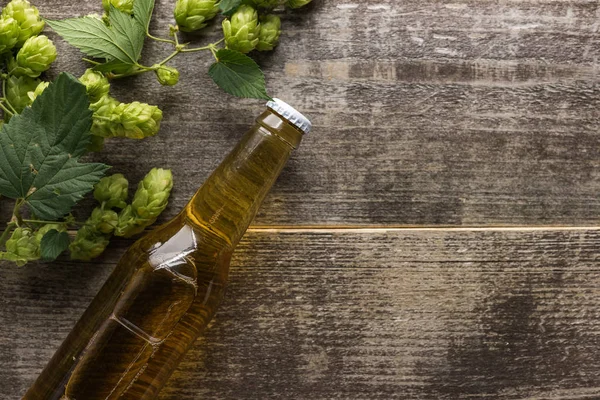 Top view of beer in bottle with green hop on wooden background — Stock Photo