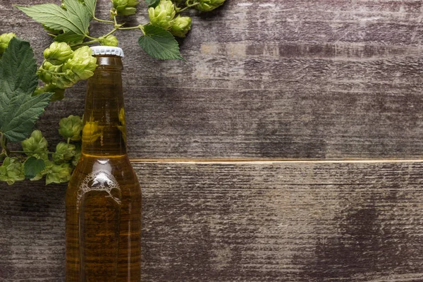 Top view of fresh beer in bottle with hop on wooden background — Stock Photo