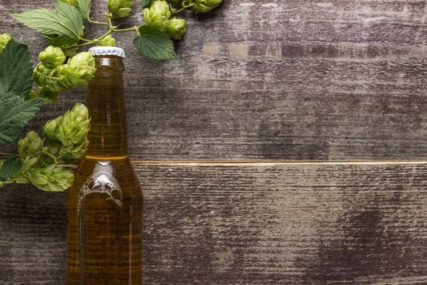 Top view of beer in bottle with green hop on wooden background — Stock Photo