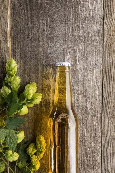 Top view of beer in bottle with green hop on wooden surface — Stock Photo