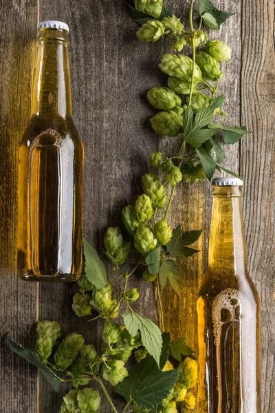 Vista superior de la cerveza en botellas con lúpulo verde sobre fondo de madera - foto de stock