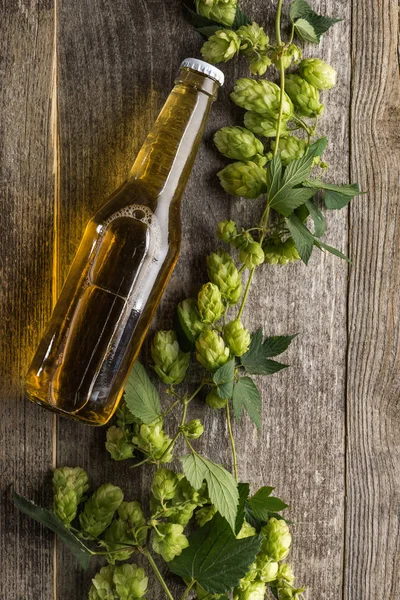 Top view of beer in bottle with green hop on wooden table — Stock Photo