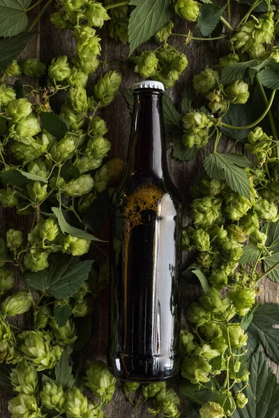 Vista superior de la cerveza en botella en lúpulo verde sobre fondo de madera - foto de stock