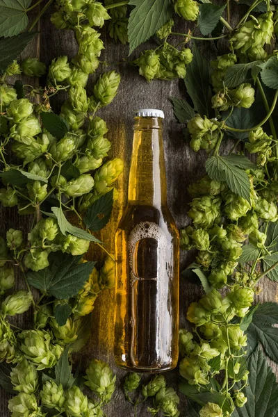 Draufsicht auf Bier in Flasche in grünem Hopfen auf Holzgrund — Stockfoto