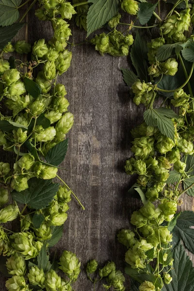 Frame of green hop on wooden rustic table — Stock Photo