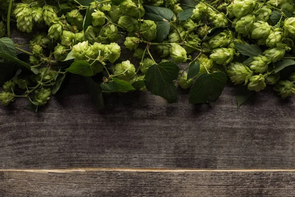 Vue du dessus du houblon vert sur table rustique en bois avec espace de copie — Photo de stock