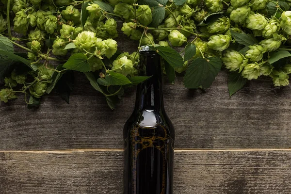 Top view of beer near green hop on wooden background — Stock Photo