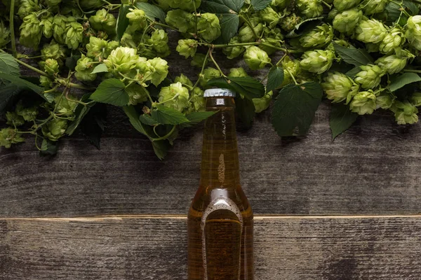 Vista superior de cerveja perto de salto verde no fundo de madeira — Fotografia de Stock