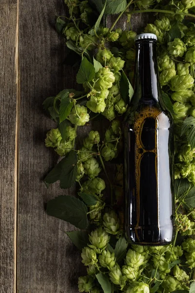 Draufsicht auf Bier in brauner Flasche auf grünem Hopfen auf Holzgrund — Stockfoto