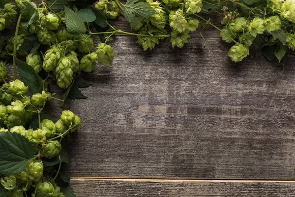 Top view of green blooming hop on wooden table with copy space — Stock Photo