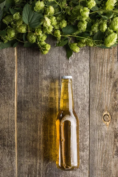 Vue du dessus de la bière en bouteille avec houblon vert ci-dessus sur fond en bois — Photo de stock