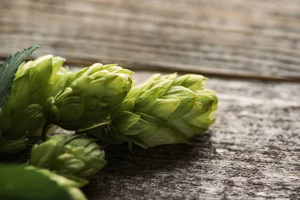 Close up view of green hop on wooden table — Stock Photo