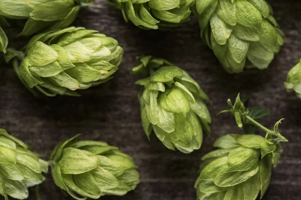 Top view of green hop on wooden table — Stock Photo