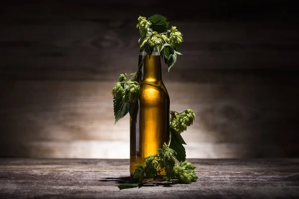 Cerveja em garrafa com lúpulo fresco na mesa de madeira na escuridão com luz traseira — Fotografia de Stock