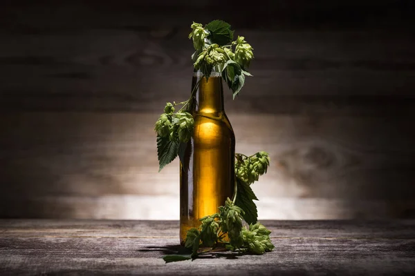 Birra in bottiglia con luppolo fresco sul tavolo in legno al buio con retroilluminazione — Foto stock