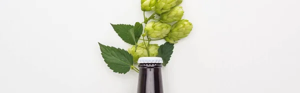 Draufsicht auf Bier in Flasche mit Hopfen auf weißem Hintergrund, Panoramaaufnahme — Stockfoto