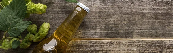 Vista dall'alto della birra in bottiglia con green hop su sfondo ligneo, scatto panoramico — Foto stock