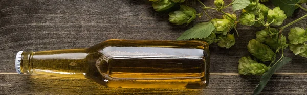 Vista dall'alto della birra in bottiglia con luppolo verde sulla superficie in legno, colpo panoramico — Foto stock