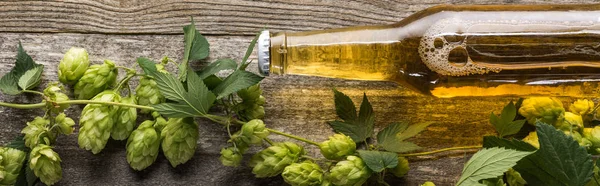 Vue du dessus de la bière fraîche en bouteille avec houblon vert sur table en bois, panoramique — Photo de stock