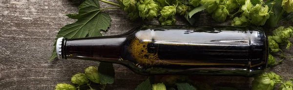 Vista superior de cerveza fresca en botella marrón con lúpulo verde sobre fondo de madera, plano panorámico - foto de stock