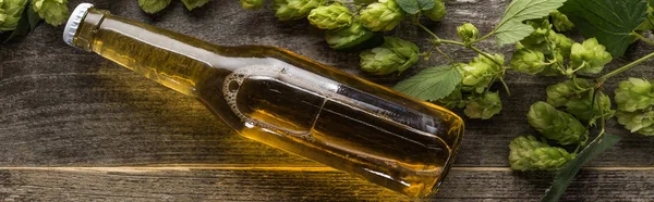 Draufsicht auf frisches Bier in Flasche mit Hopfen auf Holzgrund, Panoramaaufnahme — Stockfoto