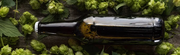 Vista dall'alto birra fresca in bottiglia marrone con luppolo verde su sfondo di legno, colpo panoramico — Foto stock