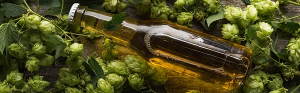 Vue du dessus de la bière fraîche en bouteille près du houblon vert sur fond bois, panoramique — Photo de stock